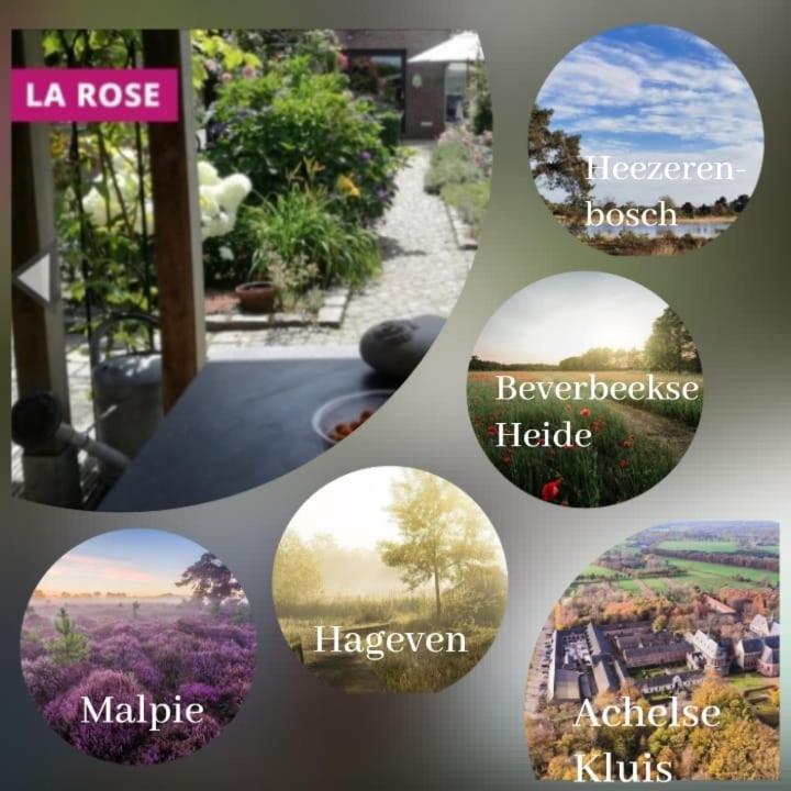 La Rose Bed & Breakfast Pelt Ngoại thất bức ảnh