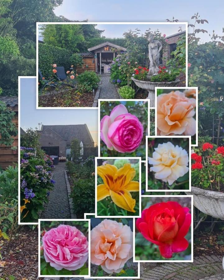 La Rose Bed & Breakfast Pelt Ngoại thất bức ảnh