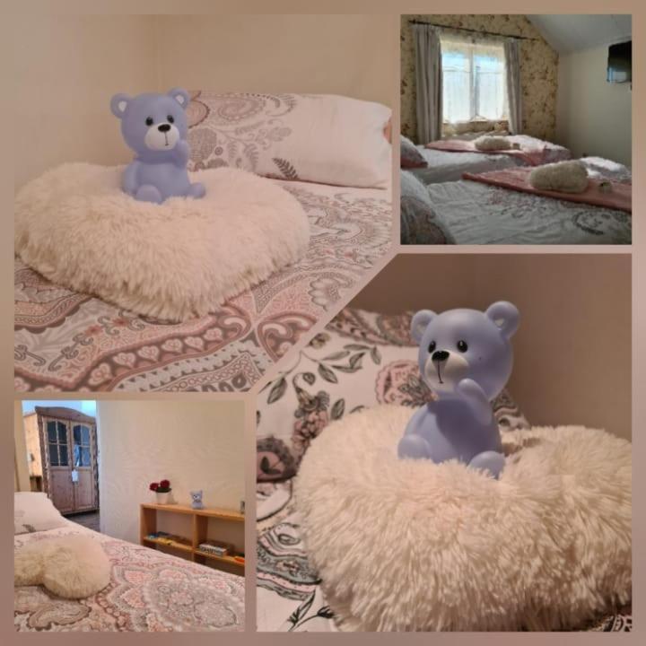 La Rose Bed & Breakfast Pelt Ngoại thất bức ảnh